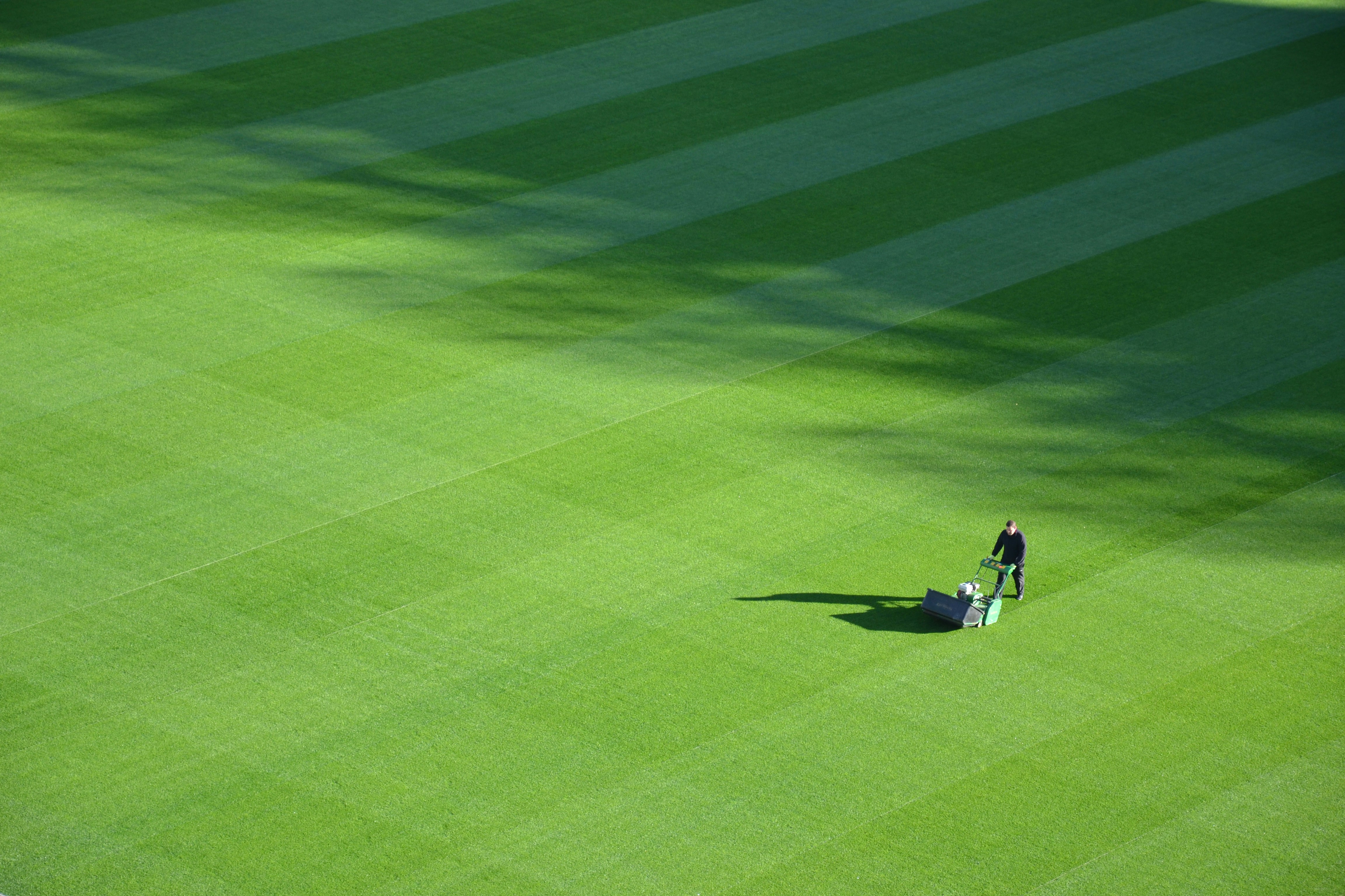 Freshly mowed green lawn with clean stripes